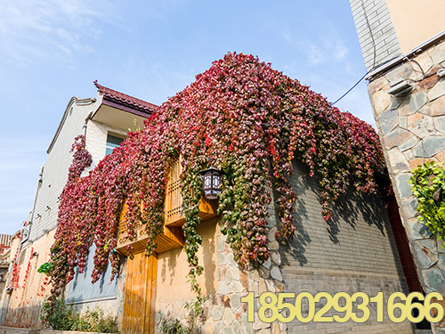 无锡景区 720全景展示